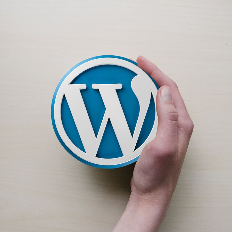 wordpress logo web