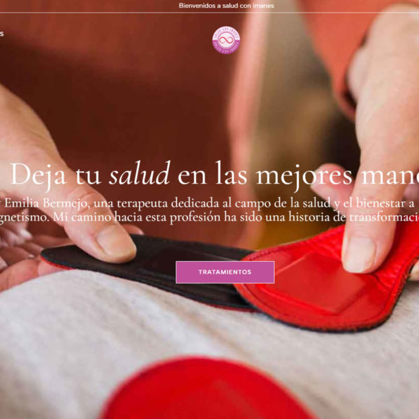 proyecto par biomagnetico